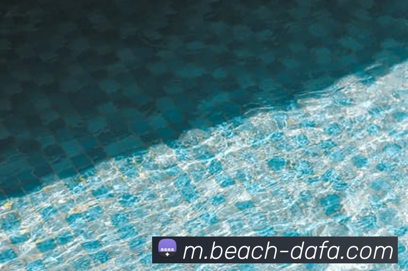 App Interface Preview