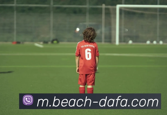 大发彩票APP 封面图